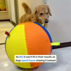 Calming Jumbo Ball
