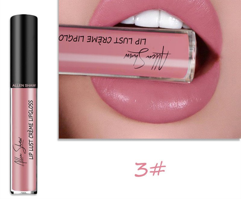 Silky Cream Texture Lip Gloss  Cross-Border Exclusive Lip Glaze Lip Gloss Lipstick chapstick image 3