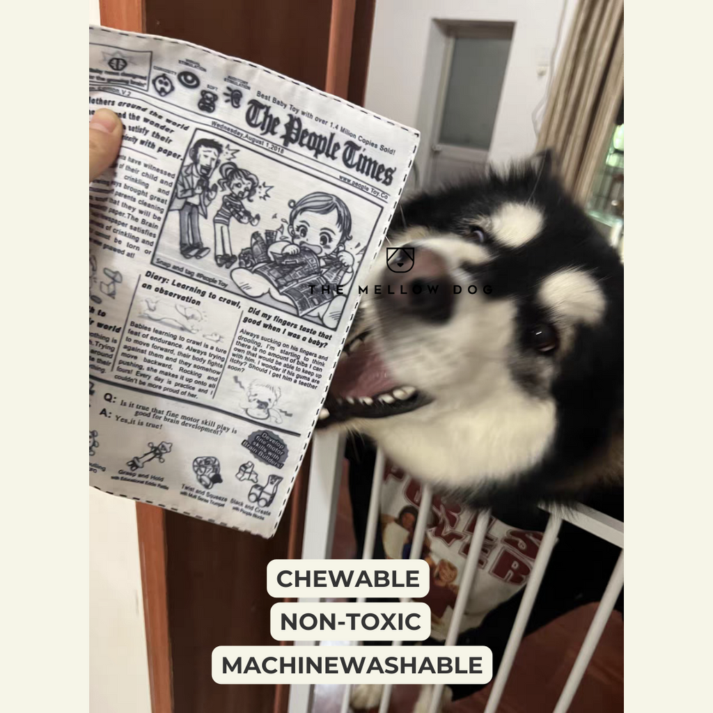 The New Dog Times