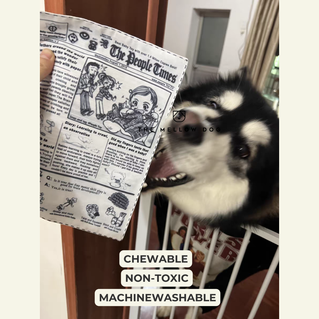 The New Dog Times