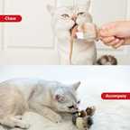 Chirping Bird Cat Toy Set, Interactive Chasing Toy for Indoor Cat, Motion Activated Kitten Play Toys, Squeaky Cats Animal Feather Toy for All Breeds Cats Kicker image 5