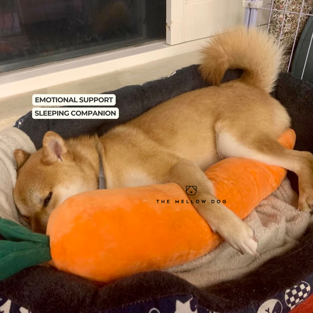 Calming Carrot