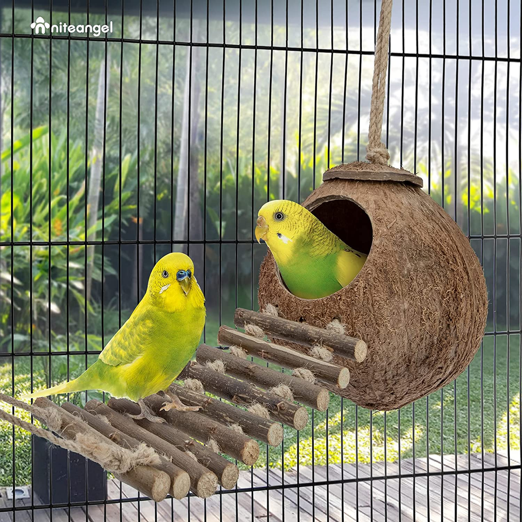 Natural Coconut Hideaway with Ladder, Bird and Small Animal Toy (House with Ladder, Natural Surface) image 3