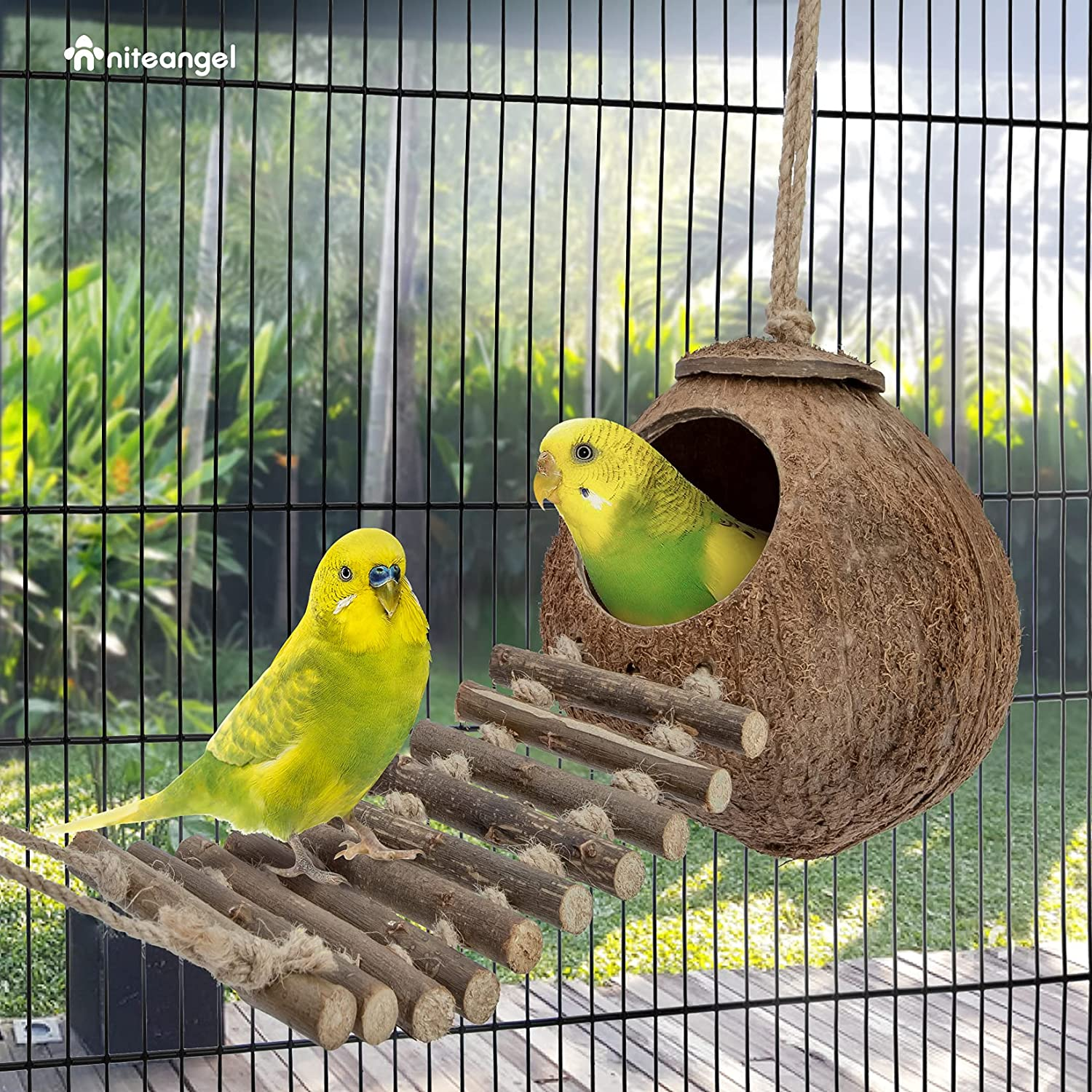 Natural Coconut Hideaway with Ladder, Bird and Small Animal Toy (House with Ladder, Natural Surface) image 3