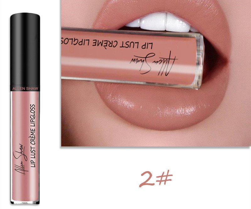 Silky Cream Texture Lip Gloss  Cross-Border Exclusive Lip Glaze Lip Gloss Lipstick chapstick - 2 color image