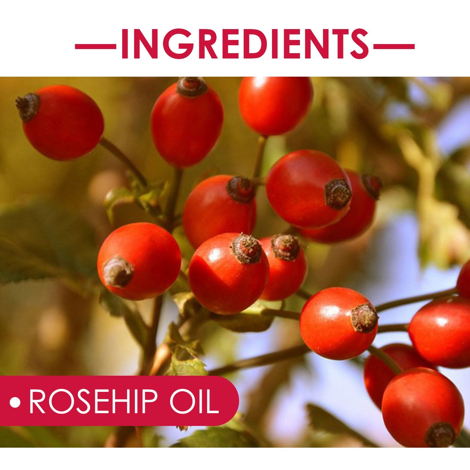 EELHOE Rosehip Facial Oil For Facial And Body Hydration, Nourishing Skin Care, Smooth Hair Care, And Massage Oil image 5