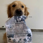 The New Dog Times