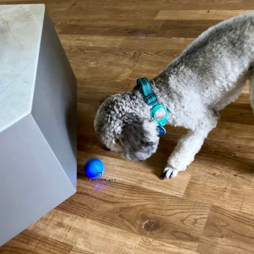 Self Rolling Smart Ball