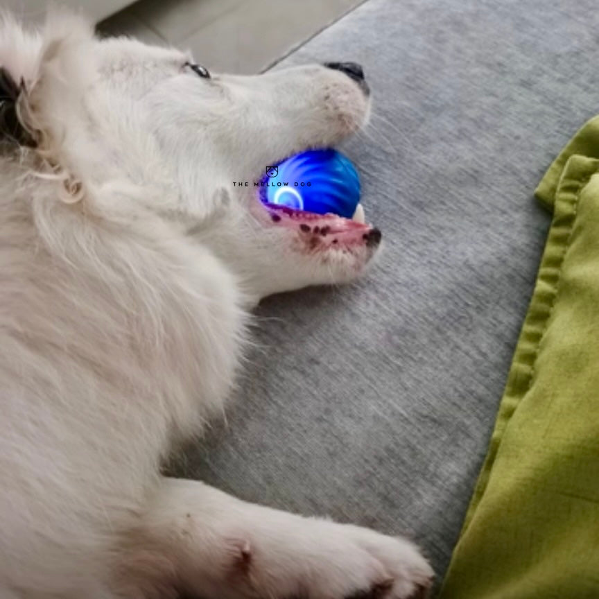 Self Rolling Smart Ball