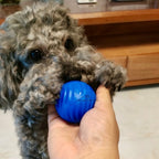 Self Rolling Smart Ball