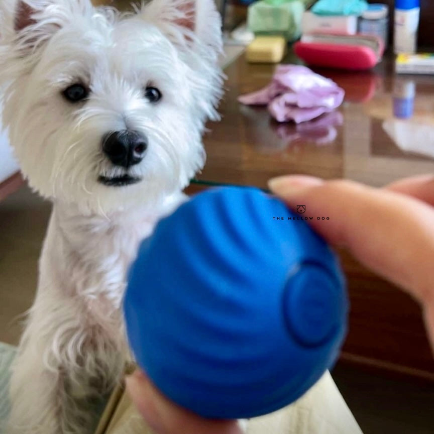 Self Rolling Smart Ball