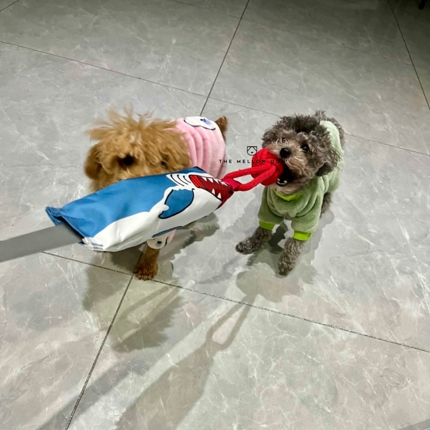 Shark Buddy