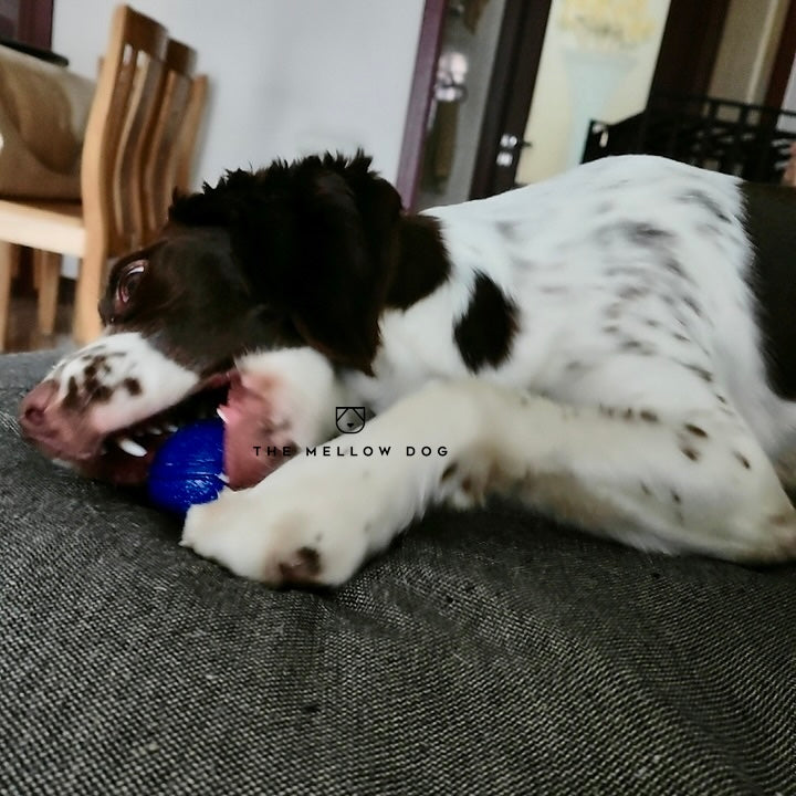 Blue Ball