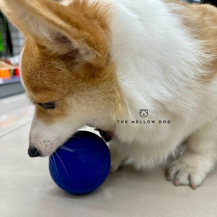 Blue Ball