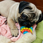 Anti Bad Breath Ball