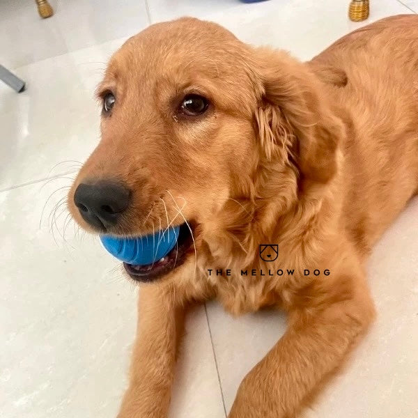Blue Ball