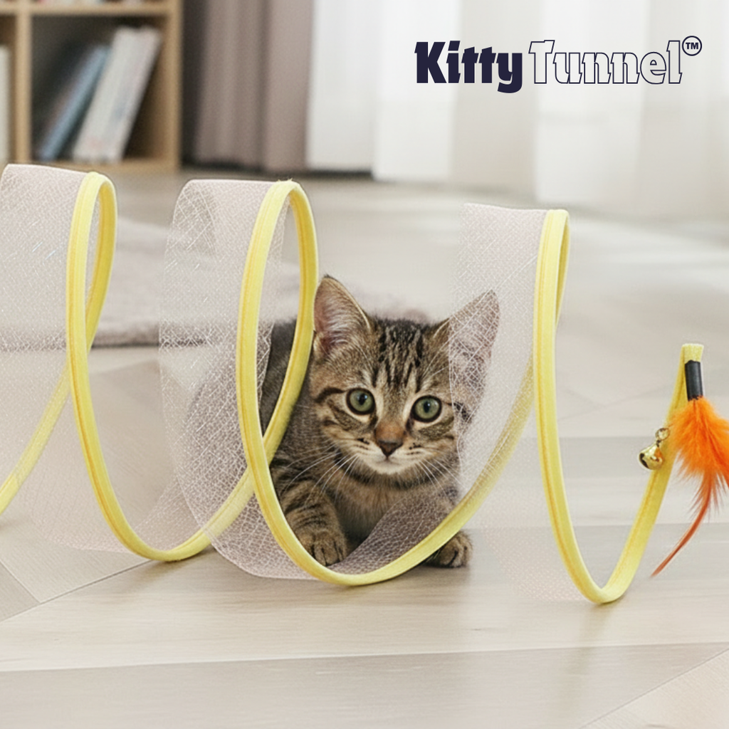 Kitty Tunnel™