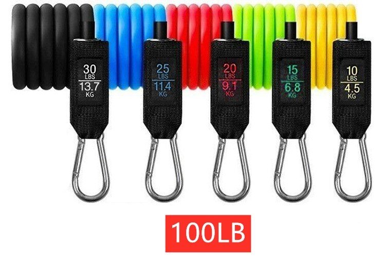 Portable Fitness Rally - 100LB W image