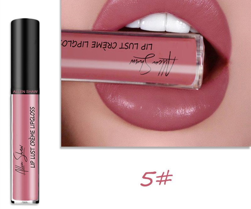 Silky Cream Texture Lip Gloss  Cross-Border Exclusive Lip Glaze Lip Gloss Lipstick chapstick - 5 color image