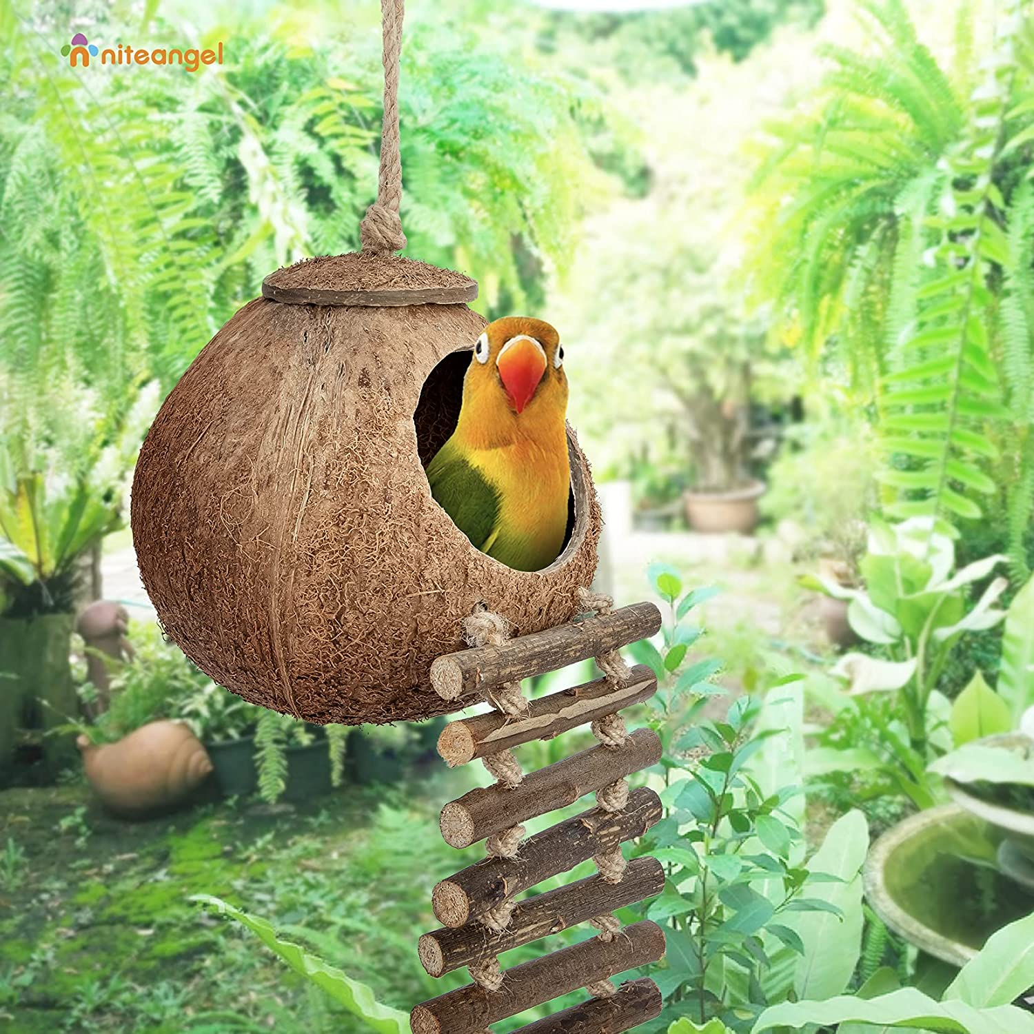 Natural Coconut Hideaway with Ladder, Bird and Small Animal Toy (House with Ladder, Natural Surface) image 4
