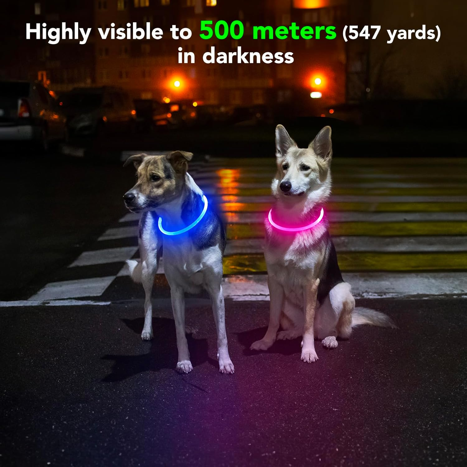Light up Dog Collar - Waterproof LED Pet Collar Rechargeable, TPU Cuttable Glow in the Dark Dog Lights for Night Walking (Pink) image 1