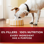 High Protein Wet Dog Food True Instinct Tender Cuts in Dog Food Gravy with Real Chicken and Duck - (Pack of 12) 13 Oz. Cans image 8