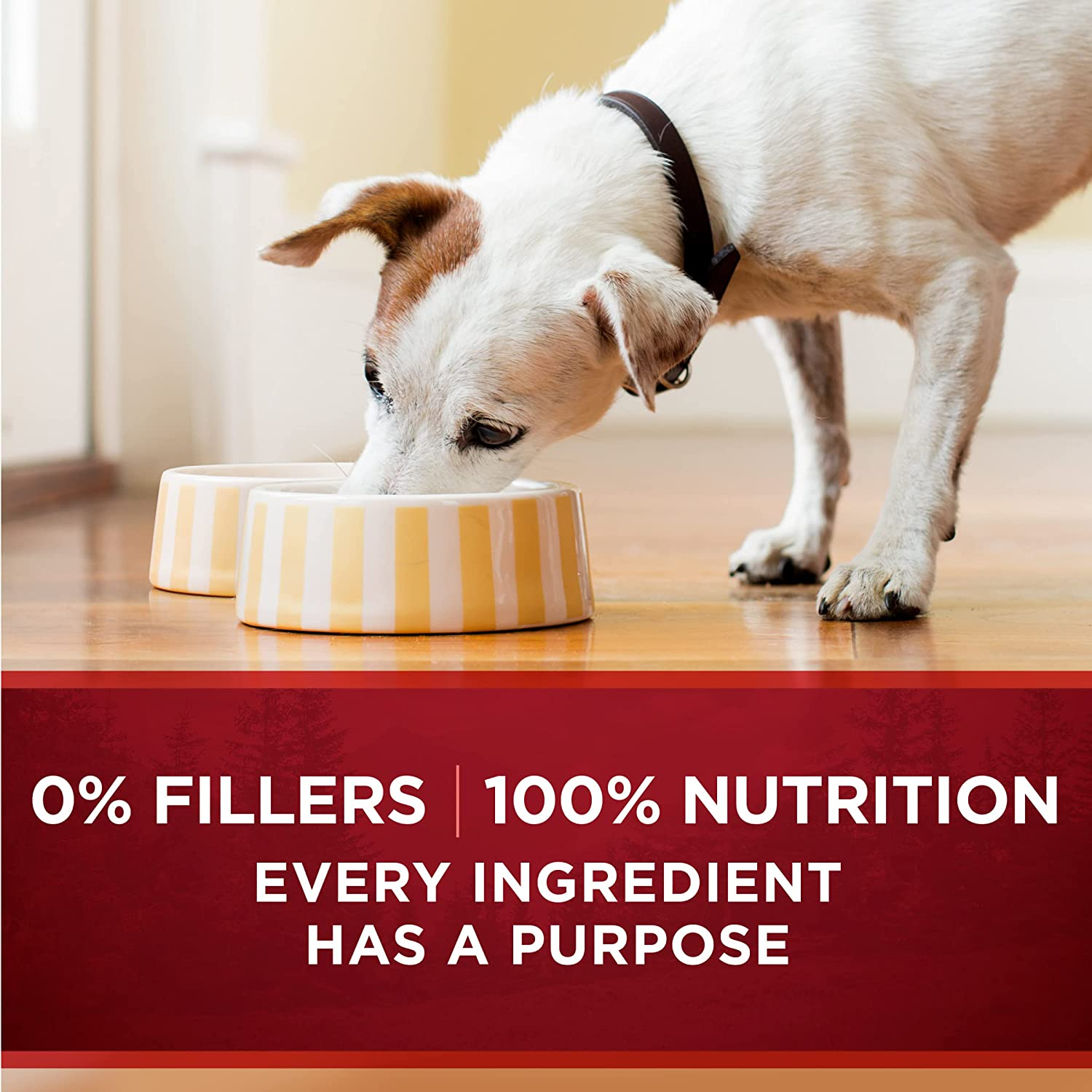 High Protein Wet Dog Food True Instinct Tender Cuts in Dog Food Gravy with Real Chicken and Duck - (Pack of 12) 13 Oz. Cans image 8