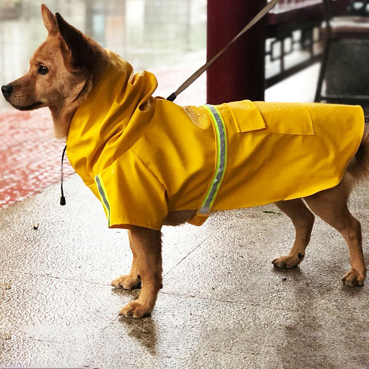 Dog Raincoat,Waterproof Dog Rain Jacket With Safety Reflective Stripe,Hooded Slicker Dachshund Doggy Dog Poncho With Leash For Dogs And Puppies image 6