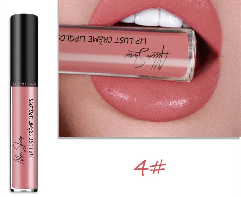 Silky Cream Texture Lip Gloss  Cross-Border Exclusive Lip Glaze Lip Gloss Lipstick chapstick - 4 color image