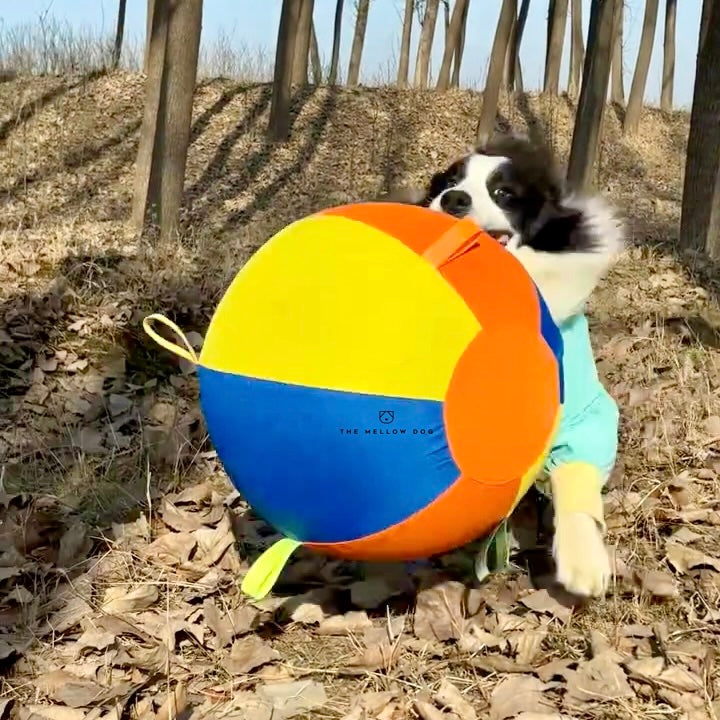 Calming Jumbo Ball
