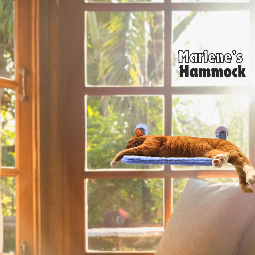 Signature Hammock™