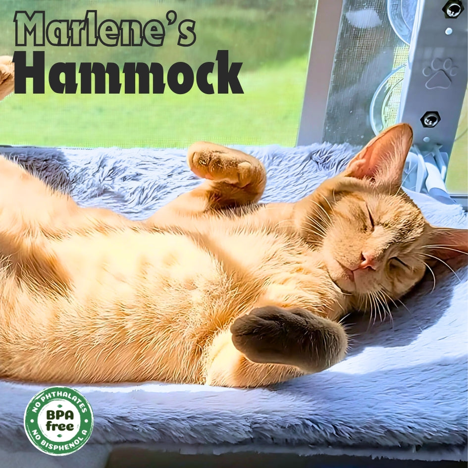 Signature Hammock™
