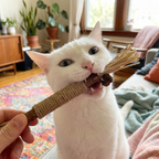 DentaVine™ (Silvervine Dental Stick)