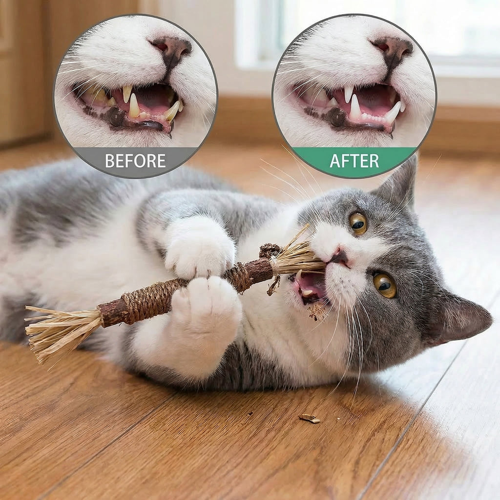 DentaVine™ (Silvervine Dental Stick)