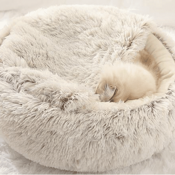 Pet Bed