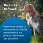 Pet-Ag Pet Pectillin Anti-Diarrheal - 4 Oz - Image 6