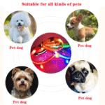 LED Adjustable Dog Collar Blinking Flashing Light up Glow Pets Safety Waterproof - Image 10