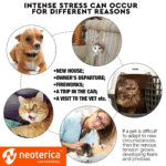 Calming Pheromone Spray Scratch Repellent for Cats Reduce Stress during Travel - Image 2