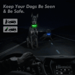 LED Adjustable Dog Collar Blinking Flashing Light up Glow Pets Safety Waterproof - Image 2