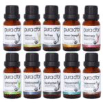 D'Or Perfect 10 Essential Oil Set, 5.07 Fl Oz - Image 2