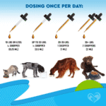 Kennel Cough Treatment Natural Infection Medicine for Dog Cats Cold Cough Relief - Image 5
