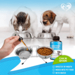 Kennel Cough Treatment Natural Infection Medicine for Dog Cats Cold Cough Relief - Image 4