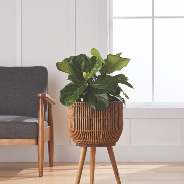 13 Inch round Brown Resin Rattan Planter & Stand with Acacia Wood Legs
